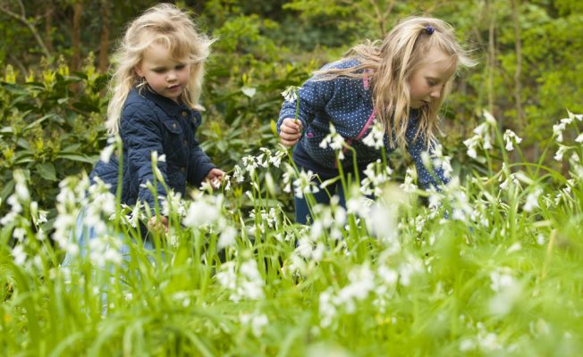 Penlee House Gallery & Garden February half term 2017 Cornwall 365